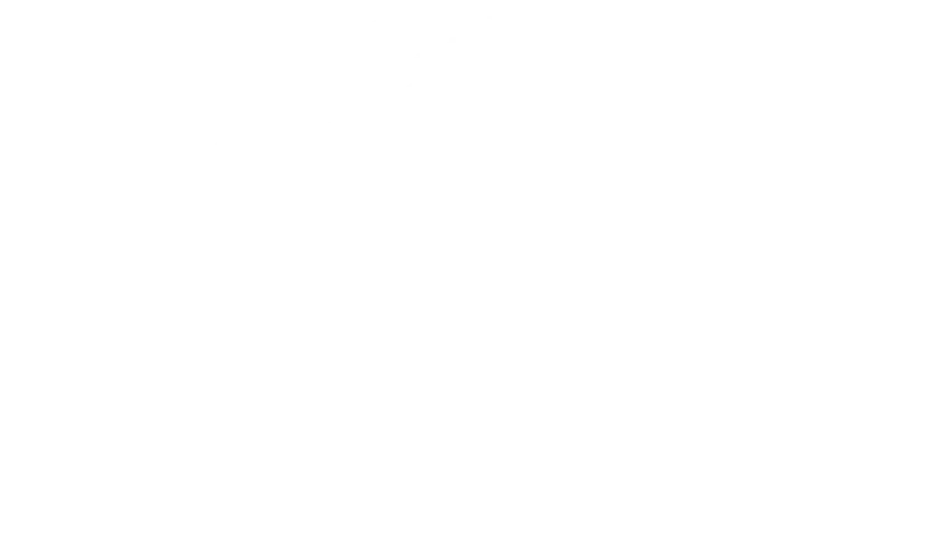 MediaGun
