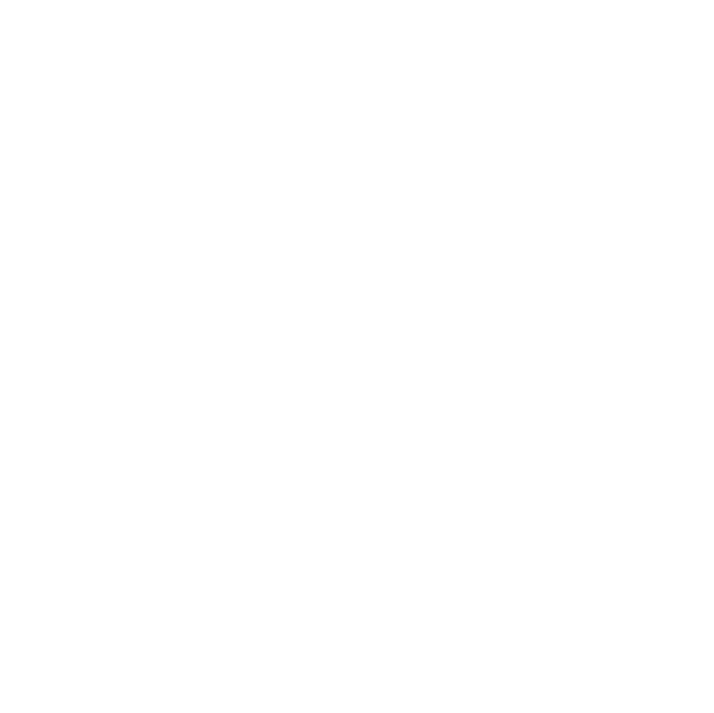 FİNAL Arms